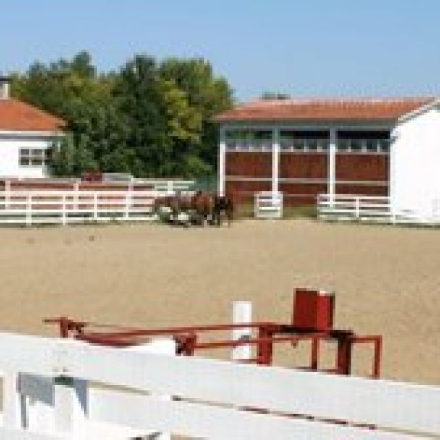 Ropes Ranch Horse Riding in Grisignano di Zocco